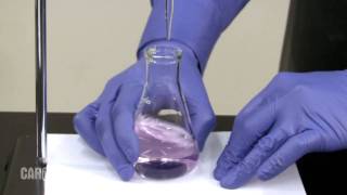 Setting up and Performing a Titration [upl. by Dianuj367]