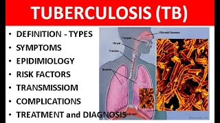 Tuberculosis TB Explained Causes Types Symptoms Diagnosis amp Treatment [upl. by Arte]