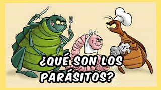 La clasificación de los parásitos  parásitos [upl. by Teahan333]