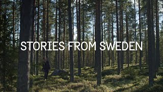 Building one of the world’s tallest wooden buildings – Stories from Sweden [upl. by Nnylirehs]