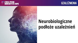 Neurobiologiczne podłoże uzależnień – dr n med Joanna Krawczyk [upl. by Schnur]