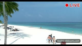 Amazing live webcam from the Maldives [upl. by Llekcir116]