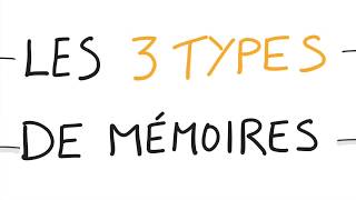 Neurosciences  Vos 3 Types de Mémoires [upl. by Norra]