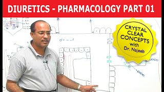 Diuretics  Pharmacology  Part 13 [upl. by Colly]