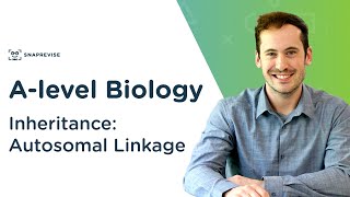 Inheritance Autosomal Linkage  Alevel Biology  OCR AQA Edexcel [upl. by Hunley]