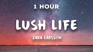 1 Hour Lush Life  Zara Larsson  1 Hour Loop [upl. by Nnail30]