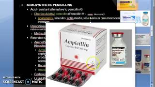 Pharmacology 789 b Semi Synthetic Penicillin Phenoxy methyl Cloxacillin ampicillin amoxicillin [upl. by Anstus969]