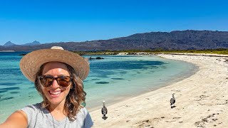 AMAZING ISLAND in Loreto Baja California Sur [upl. by Streeter]