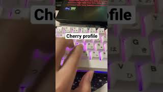 OEM vs Cherry Profile Keycaps [upl. by Sieber900]