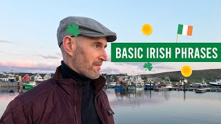 Basic phrases in Irish language [upl. by Assenav631]