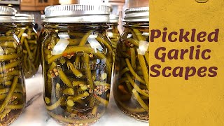 Pickled GARLIC ScapesSteam Canning OR Water Bath canning [upl. by Kathryne512]