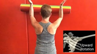 3 Exercises To Correct A Winged Scapula [upl. by Hermie]