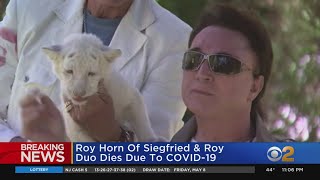 Roy Horn Of Siegfried amp Roy Duo Dies Due To COVID19 [upl. by Hinman629]