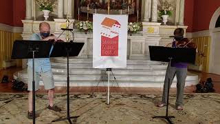 Duo No 1 for Violin and Viola by Ignaz Pleyel [upl. by Nylasej]