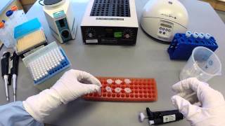 DNA Extraction Protocol  Part 1 [upl. by Cameron]