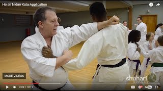 Heian Nidan Oyo  Bunkai Kata Application [upl. by Annaes832]