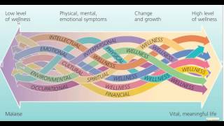 The Mental Health Continuum [upl. by Ilellan985]