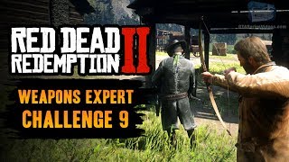 Red Dead Redemption 2 Weapons Expert Challenge 9 Guide  Kill 9 enemies from behind using the bow [upl. by Yllil]