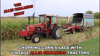 Allis Chalmers Show Chopping Corn Silage With Vintage AC Tractors [upl. by Missak]