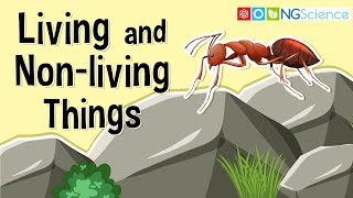 What Are Living and Nonliving Things [upl. by Aneehsal282]