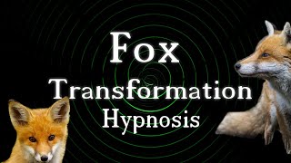 Hypnosis  Fox Transformation [upl. by Menell]