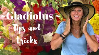 Gladiolus Tips and Tricks  Kelly Lehman [upl. by Oringas813]