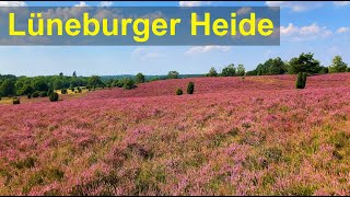 Lüneburger Heide  Unterwegs mit dem Wohnmobil in die Heide [upl. by Alben]