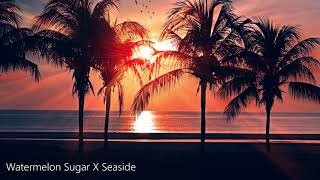 TikTok  Watermelon Sugar X Seaside  1 hour special [upl. by Eicram882]