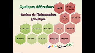 Quelques définitions  Notion de l’information génétique [upl. by Eerazed152]