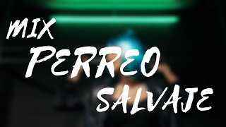 Mix Perreo Salvaje 🔥 OldSchoold  Reggeaton Antiguo Hist 🔥 Dj Anthony Alexander [upl. by Enyahc]