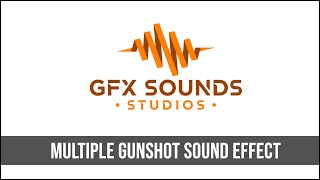 Multiple Gunshot Sound Effect [upl. by Hawger]