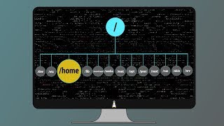 05 Linux Root Folders Explained [upl. by Suirrad]