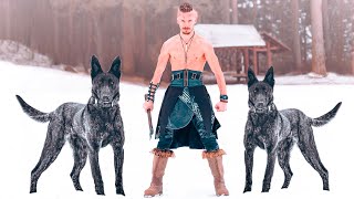 These Are The 10 Scandinavian Dog Breeds [upl. by Veats]