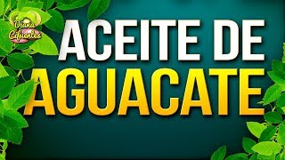 Para Que Sirve El Aceite De Aguacate  Propiedades Beneficios Y Contraindicaciones Del Aguacate [upl. by Odraude]