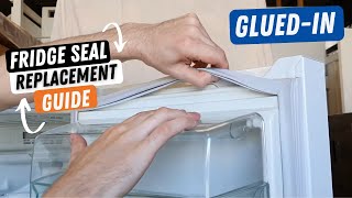 How to Replace a Glued in Refrigerator Door Gasket Seal [upl. by Rochell]