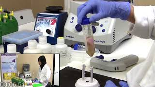 Midi amp Maxi Plasmid DNA Isolation in 18 Mins with ZymoPURE™ [upl. by Murrell]