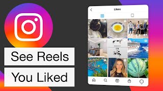 How to See Instagram Reels You Liked Reels Watch History [upl. by Stoddart]