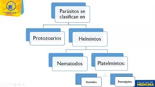 Clase 45 Generalidades de parásitos [upl. by Haimirej]