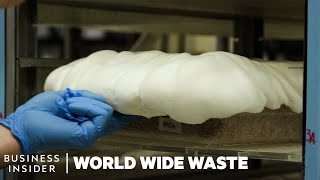 How Mushrooms Are Turned Into Bacon And Styrofoam  World Wide Waste [upl. by Ravens]