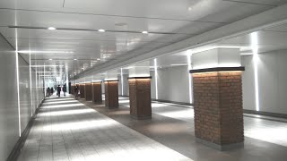 幻想的な柱が並ぶ銀座駅と東銀座駅を結ぶ地下通路を歩いた風景 [upl. by Hniv106]