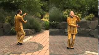 Tai Chi  Moving for Better Balance with Suman  Lesson 1 amp 2 [upl. by Di]