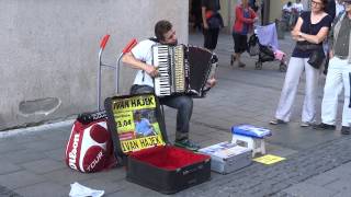 Awesome accordion player [upl. by Edgard]