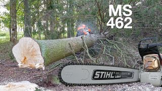 First Review Of Stihl MS 462  72cc Chainsaw [upl. by Ymmat]