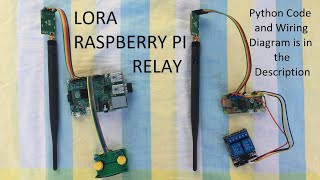 7 Ebyte LORA with Raspberry Pi to switch Relay [upl. by Laamak]