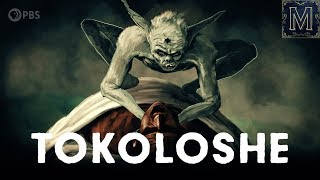 Blame the Tokoloshe South Africa’s Most Notorious Goblin [upl. by Nitsirk]