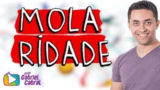 Molaridade  Prof Gabriel Cabral [upl. by Avehsile]