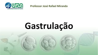 Gastrulação [upl. by Etnaik]