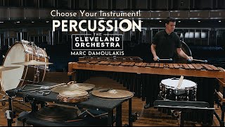 Choose Your Instrument  Percussion [upl. by Atile]