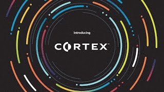 Cortex by Palo Alto Networks [upl. by Greerson]