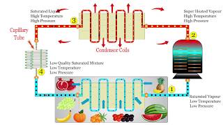 How Household Refrigerator Works  Animated Explanation [upl. by Luigino]